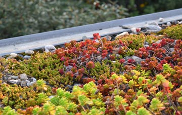 the cost of Singleton green roof installation