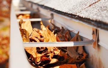 Singleton gutter cleaning companies