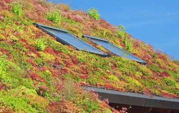 Singleton living roof systems