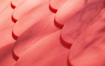 Singleton plastic roof costs