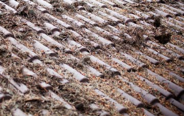 Singleton roof cleaning companies