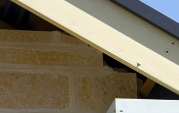 soffit repair Singleton