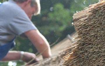 professional Singleton thatchers