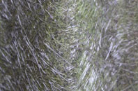 Singleton fibreglass roof work