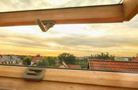 rated Singleton roof window companies